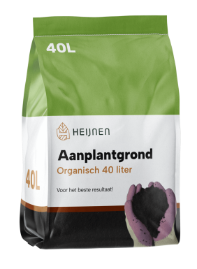 Beuk / Groene beukenhaag Fagus Sylvatica Haag 150-175 Wortel