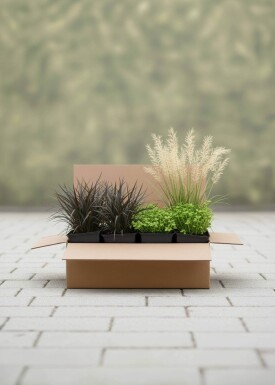 Natuurlijke Elegantie Mix