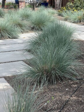 Geen afbeelding beschikbaar