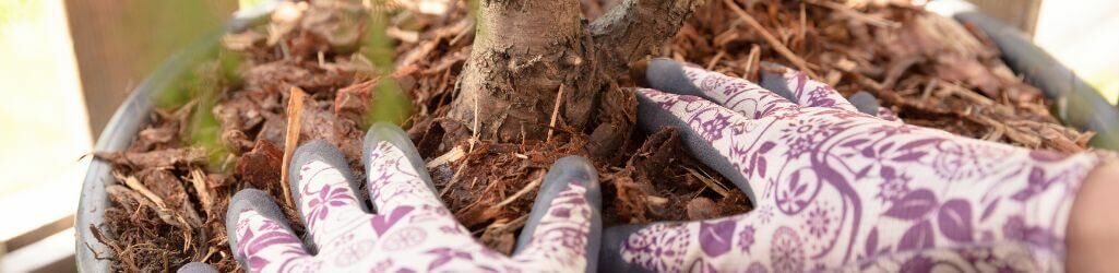 Zo bescherm je je tuinplanten tegen vorst zonder plastic of fleece image