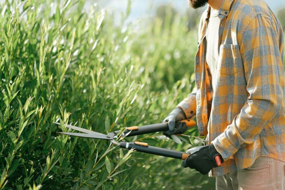 Welk tuingereedschap gebruik je bij haagplanten?