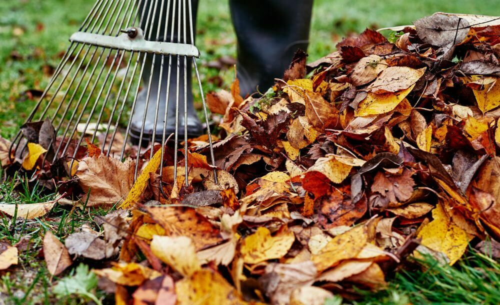 Zo gebruik je herfstblad slim als natuurlijke bescherming voor je tuin