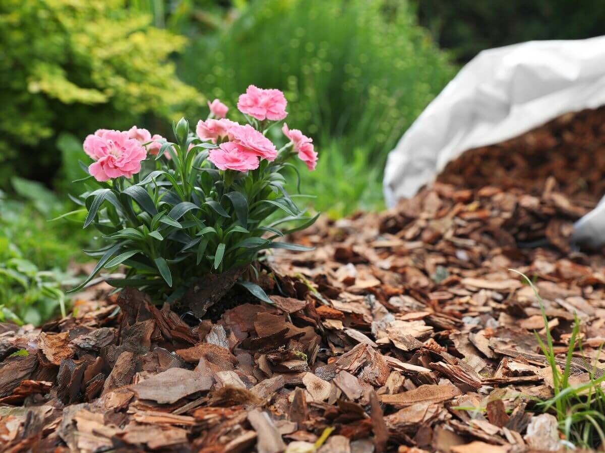 Zo bescherm je je tuinplanten tegen vorst zonder plastic of fleece image