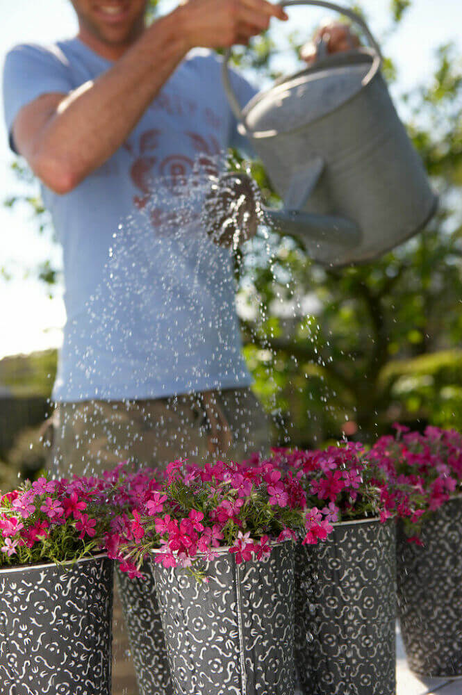 Planten water geven