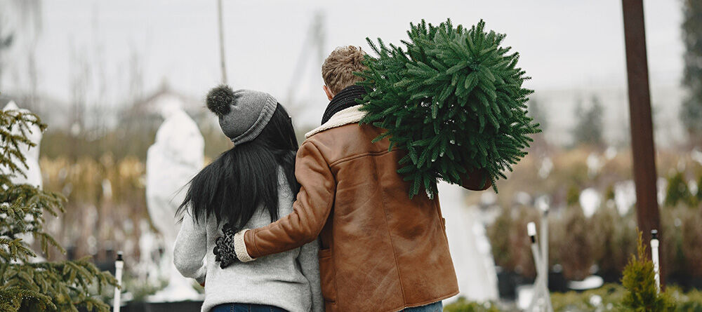 Haagplanten als kerstboom