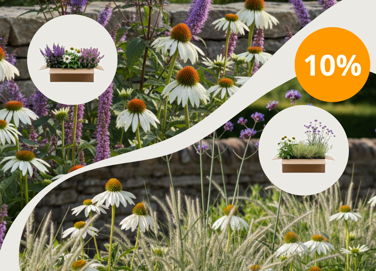 10% korting op alle borderpakketten met de code: BORDERPAKKET10