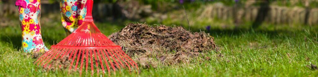 Zo gebruik je herfstblad slim als natuurlijke bescherming voor je tuin image