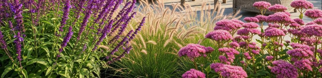 Top 7 Hittebestendige Planten voor een Zonnige Tuin image