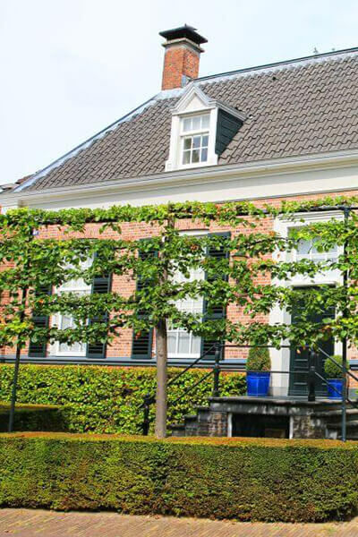 Leibomen