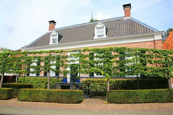 Leilindes voortuin