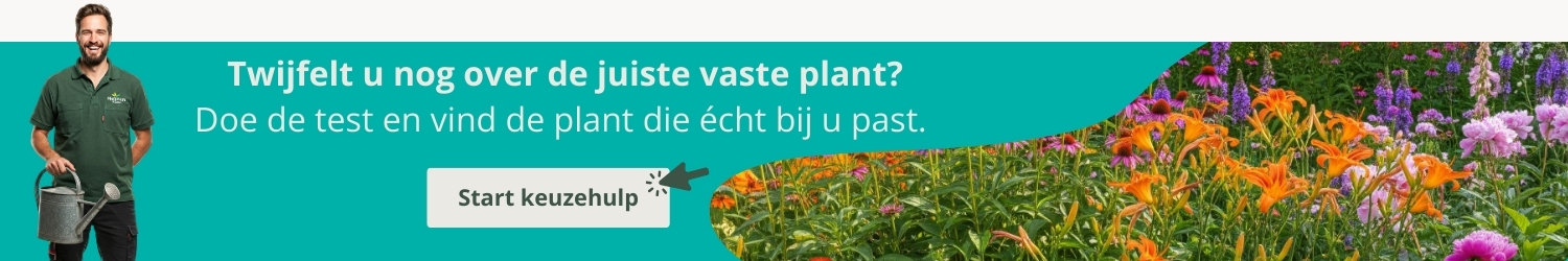 Start keuzehulp