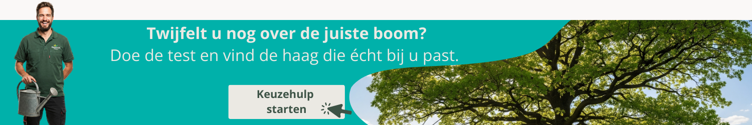 Keuzehulp