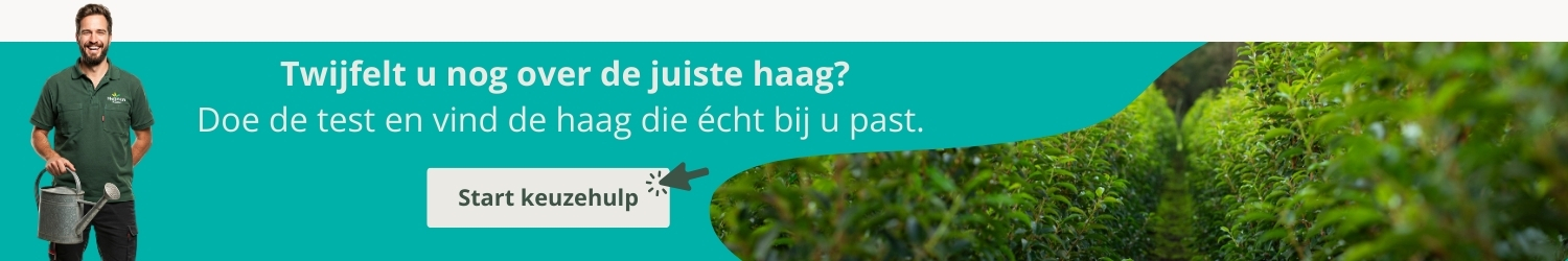 Keuzehulp