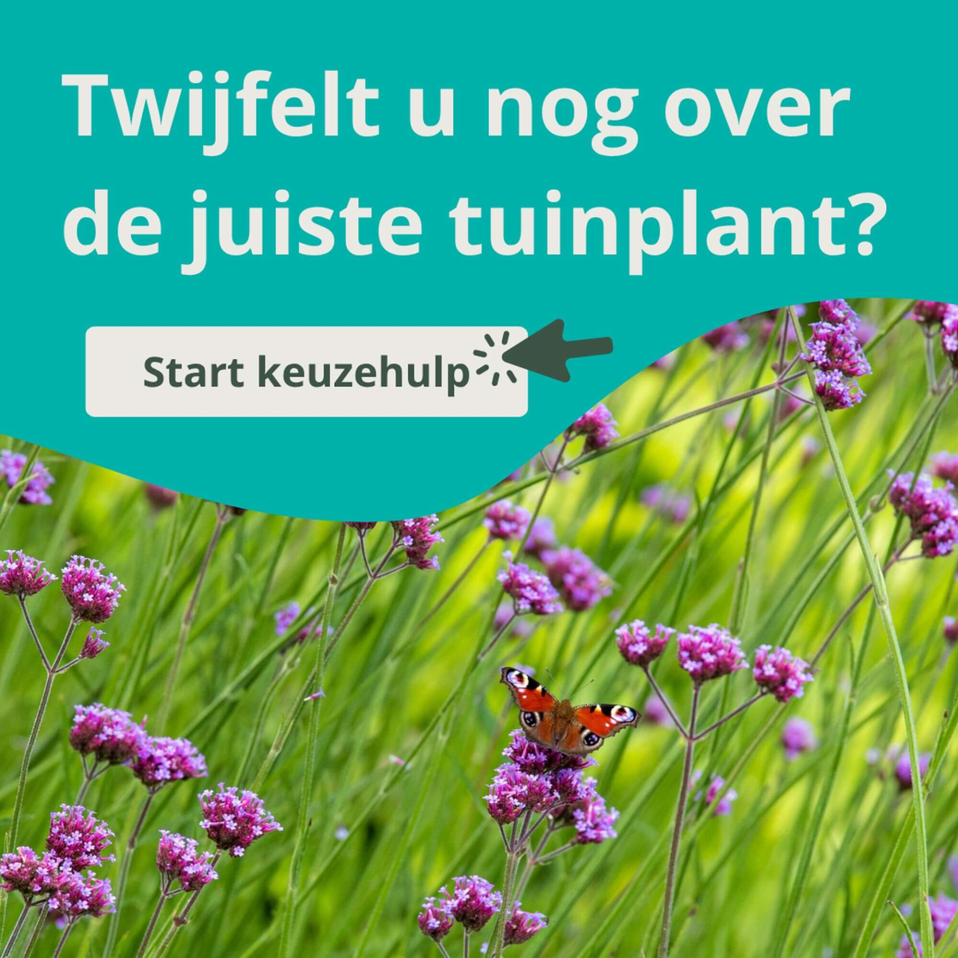 Keuzehulp